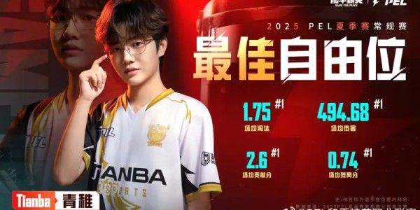 2025PEL夏季赛常规赛最佳阵容：天/青稚/Suk/派大兴