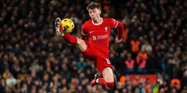 林良锋：瓜渣互砍“平分秋色” 背后问题更引人思考